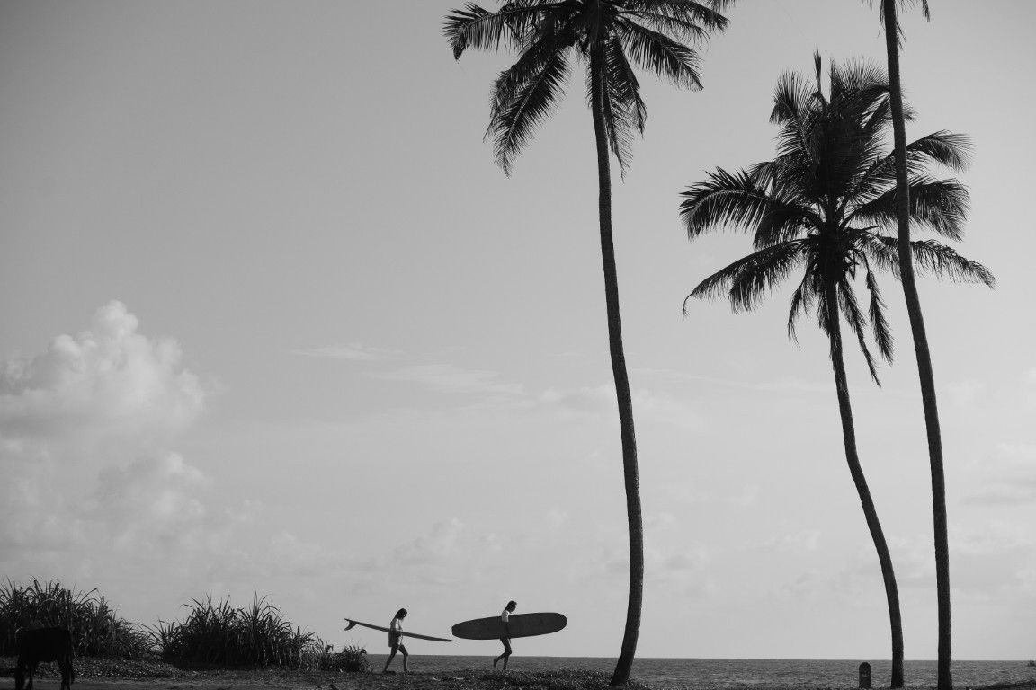 Surfers walk near palm trees at the beach.