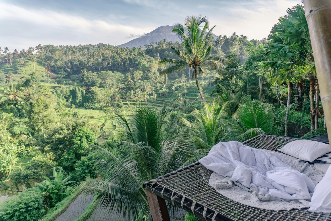 a hammock with a view of a tropical valley